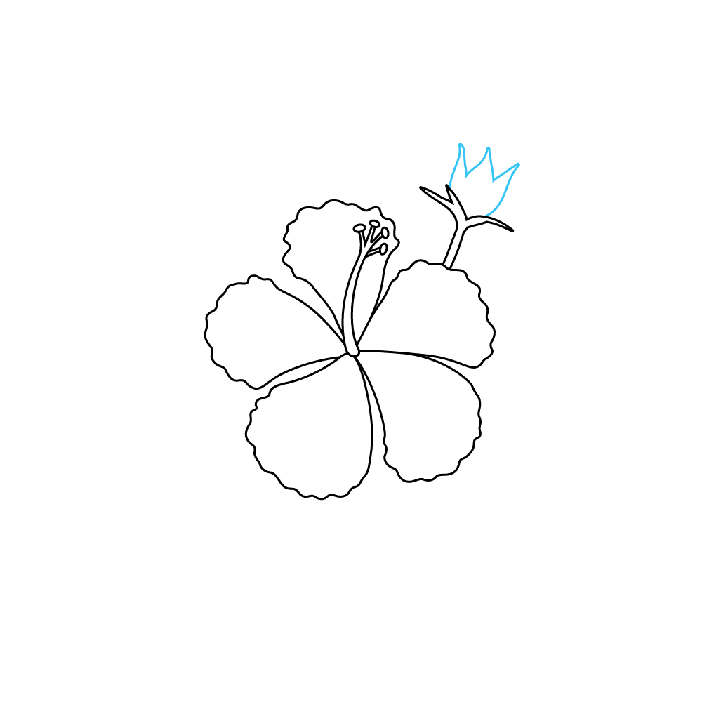 How to Draw A Hibiscus Step by Step Step  6