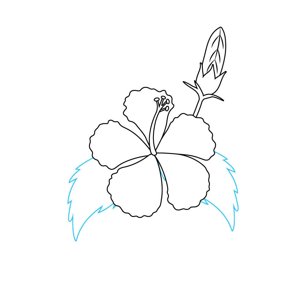 How to Draw A Hibiscus Step by Step Step  8
