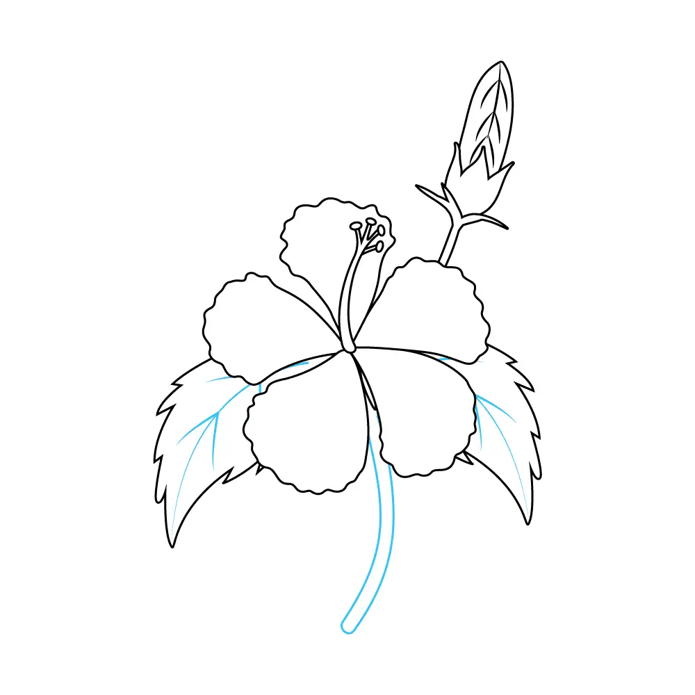 How to Draw A Hibiscus Step by Step Step  9