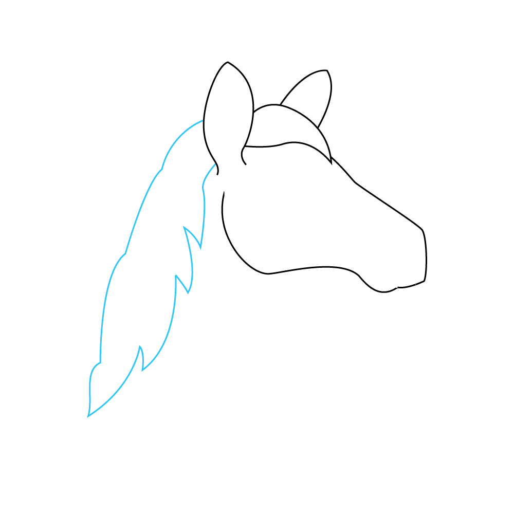 How to Draw A Horse Head Step by Step Step  4