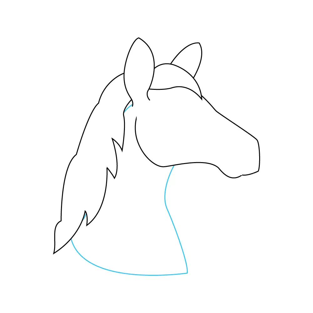 How to Draw A Horse Head Step by Step Step  5