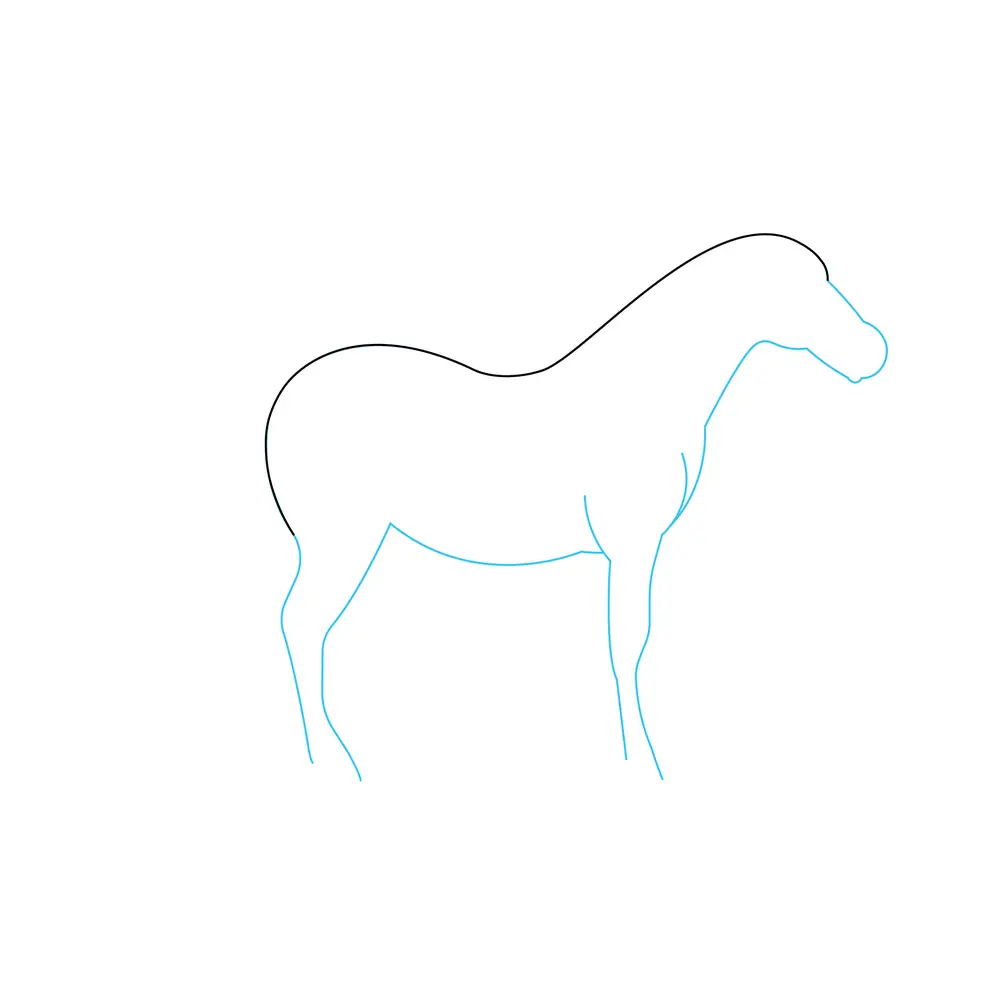 How to Draw A Horse Step by Step Step  2