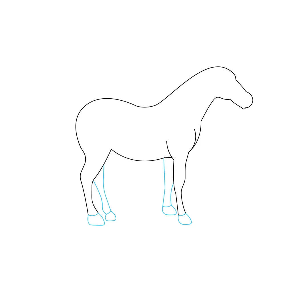 How to Draw A Horse Step by Step Step  3