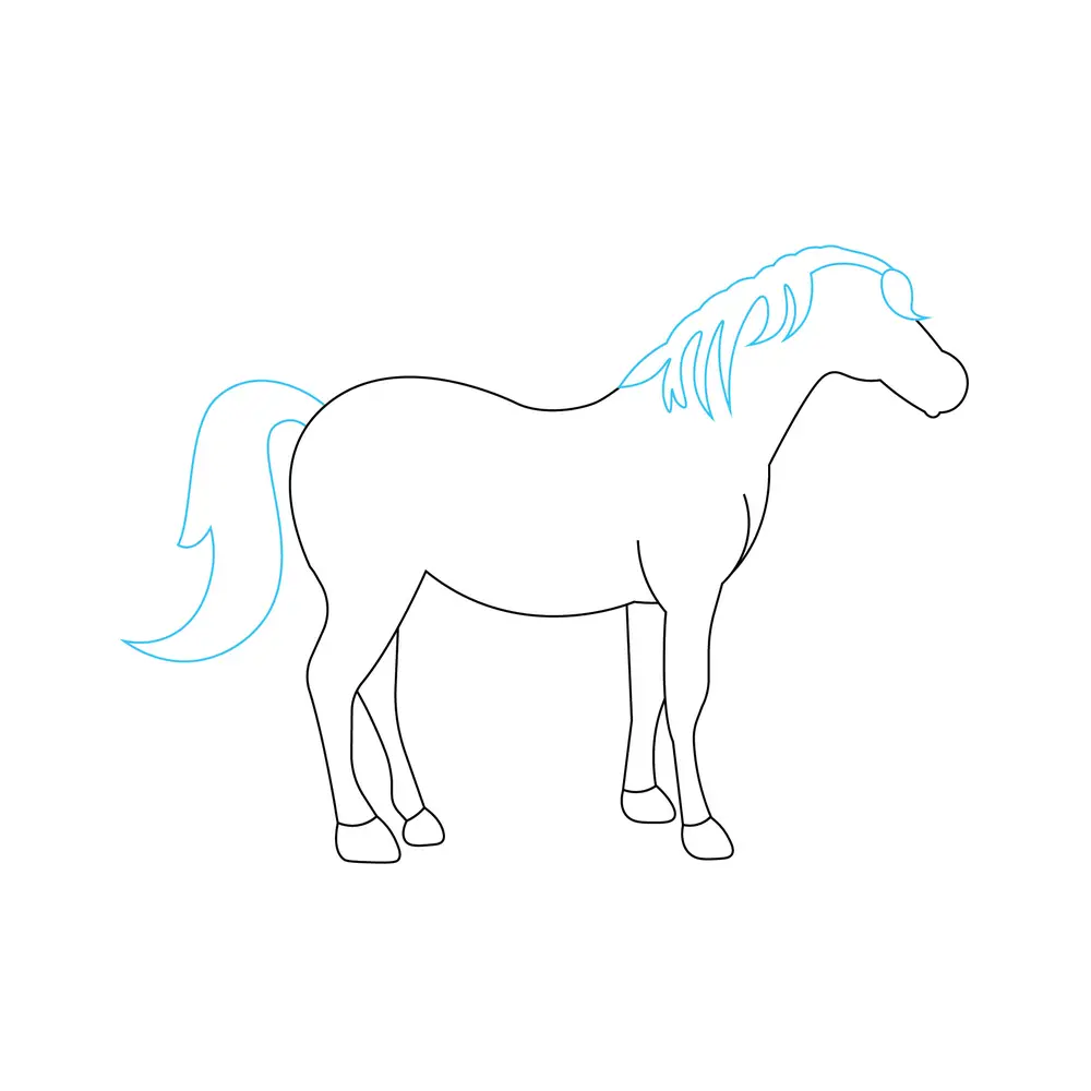 How to Draw A Horse Step by Step Step  4