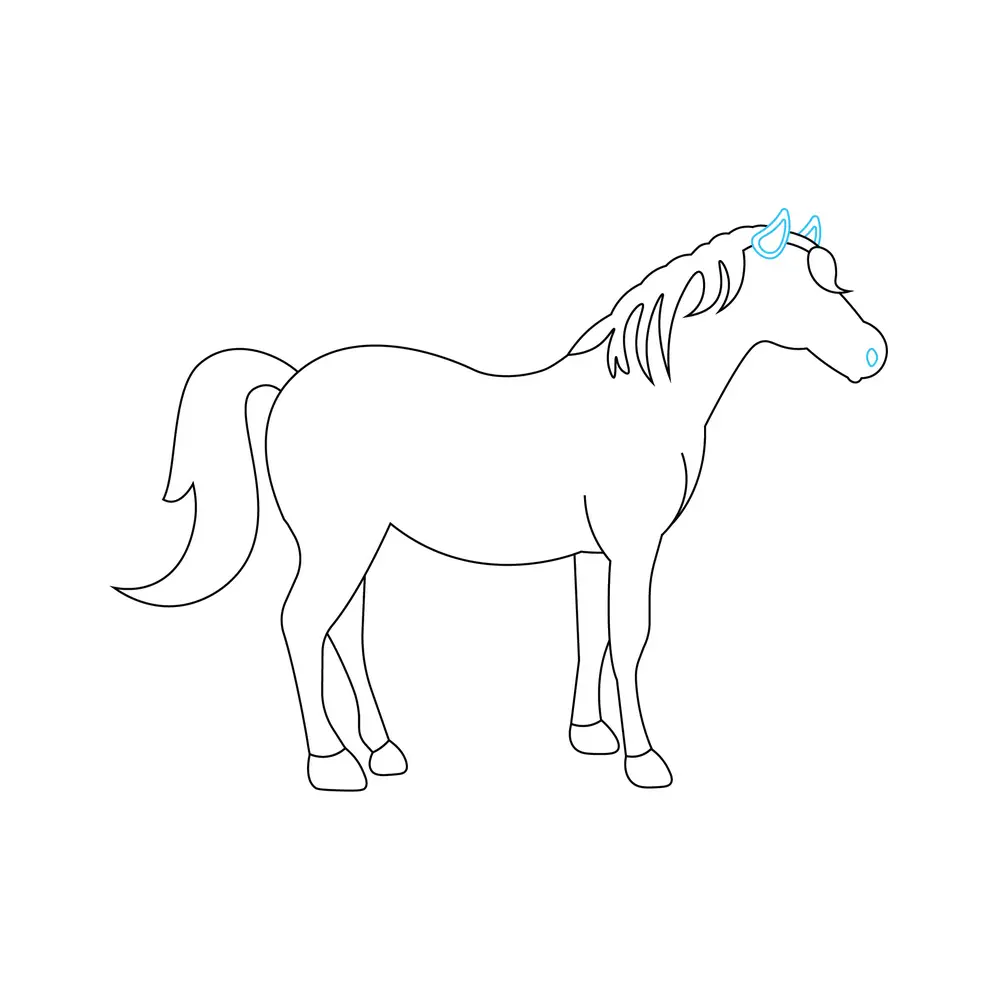 How to Draw A Horse Step by Step Step  5