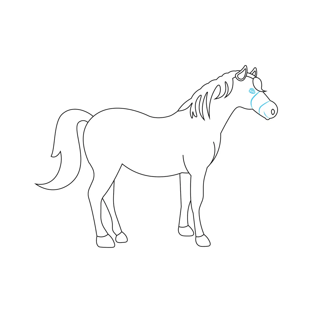 How to Draw A Horse Step by Step Step  6