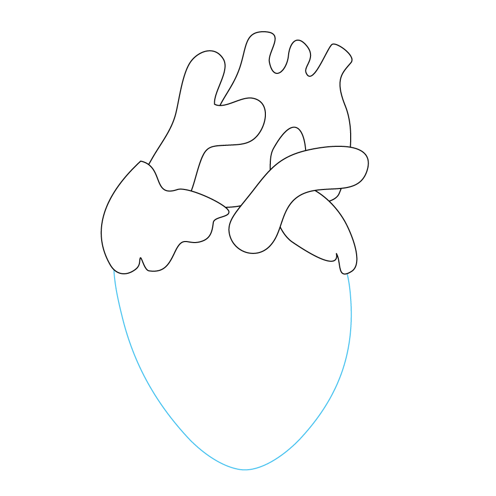 How to Draw A Human Heart Step by Step Step  6