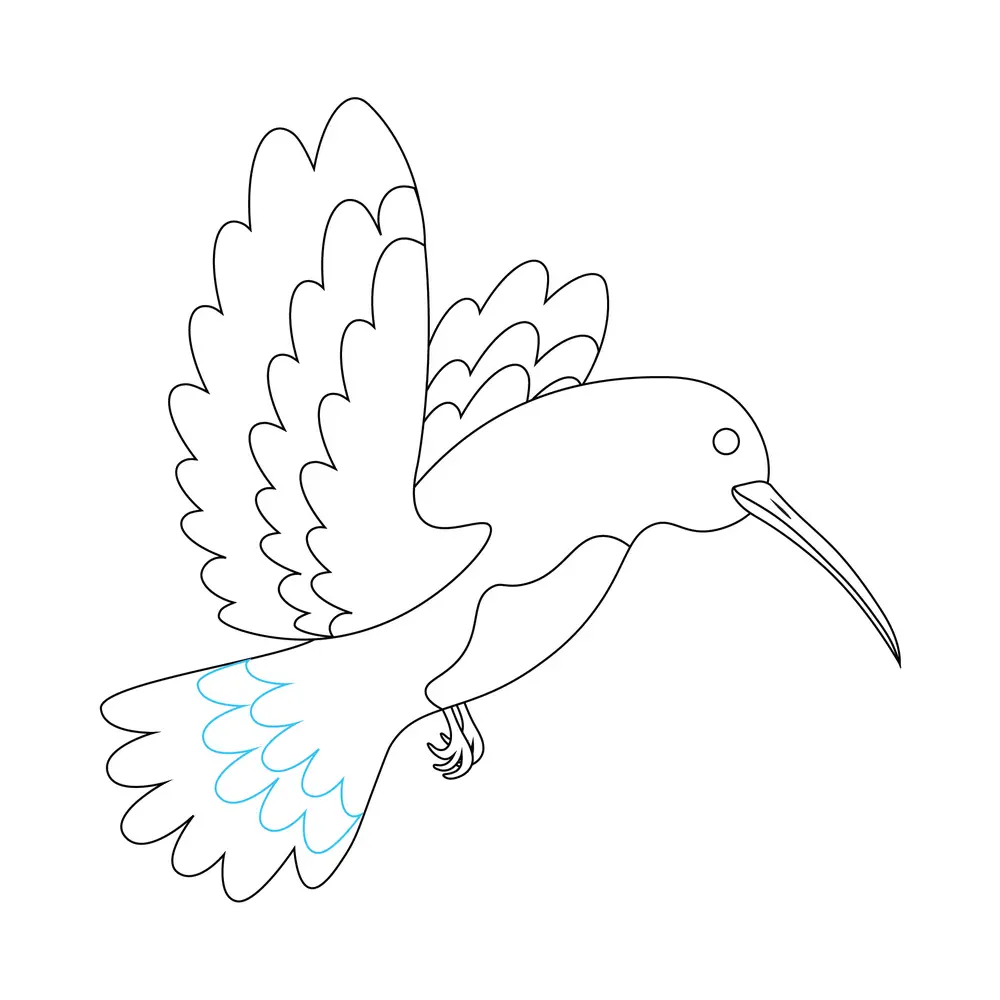 How to Draw A Hummingbird Step by Step Step  9