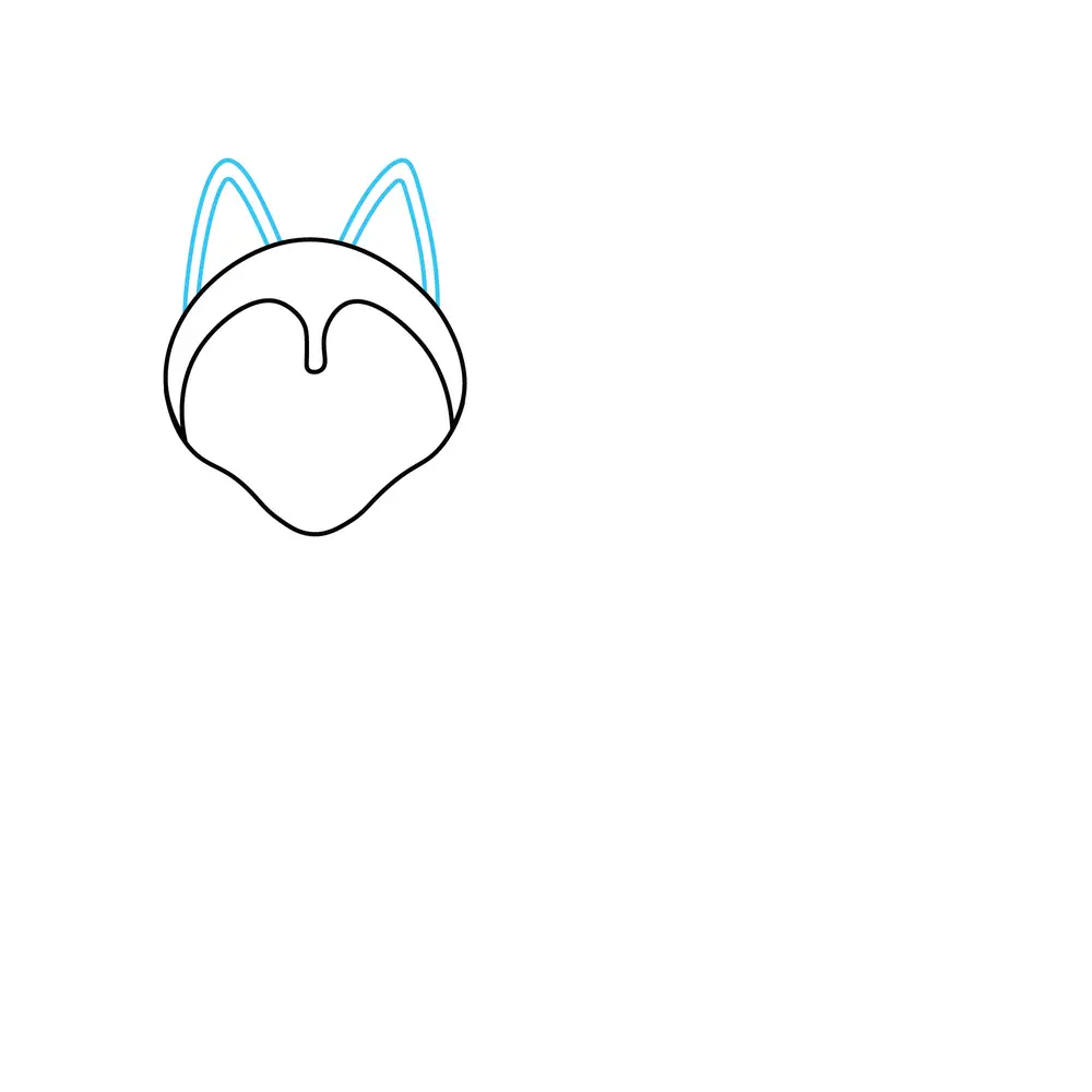 How to Draw A Husky Step by Step Step  3