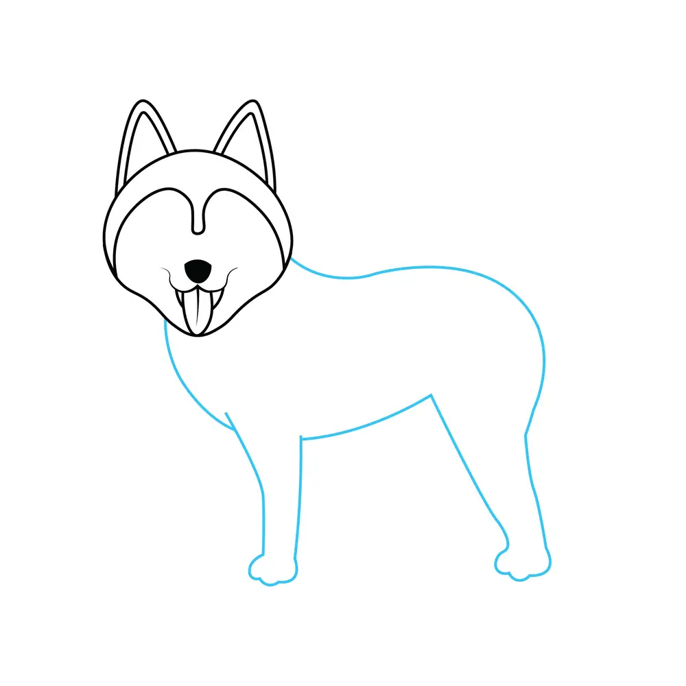 How to Draw A Husky Step by Step Step  5