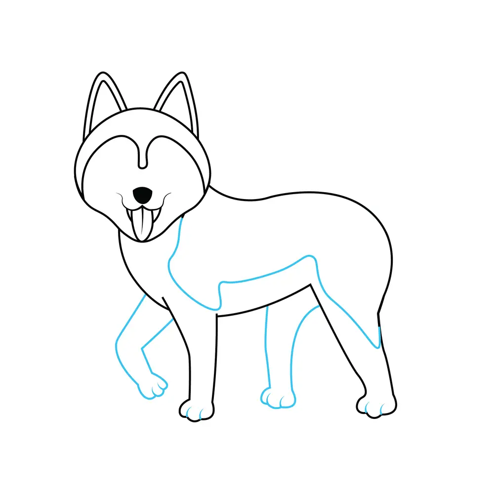 How to Draw A Husky Step by Step Step  6