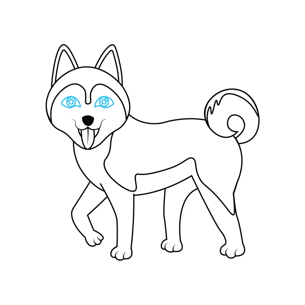 How to Draw A Husky Step by Step Step  7