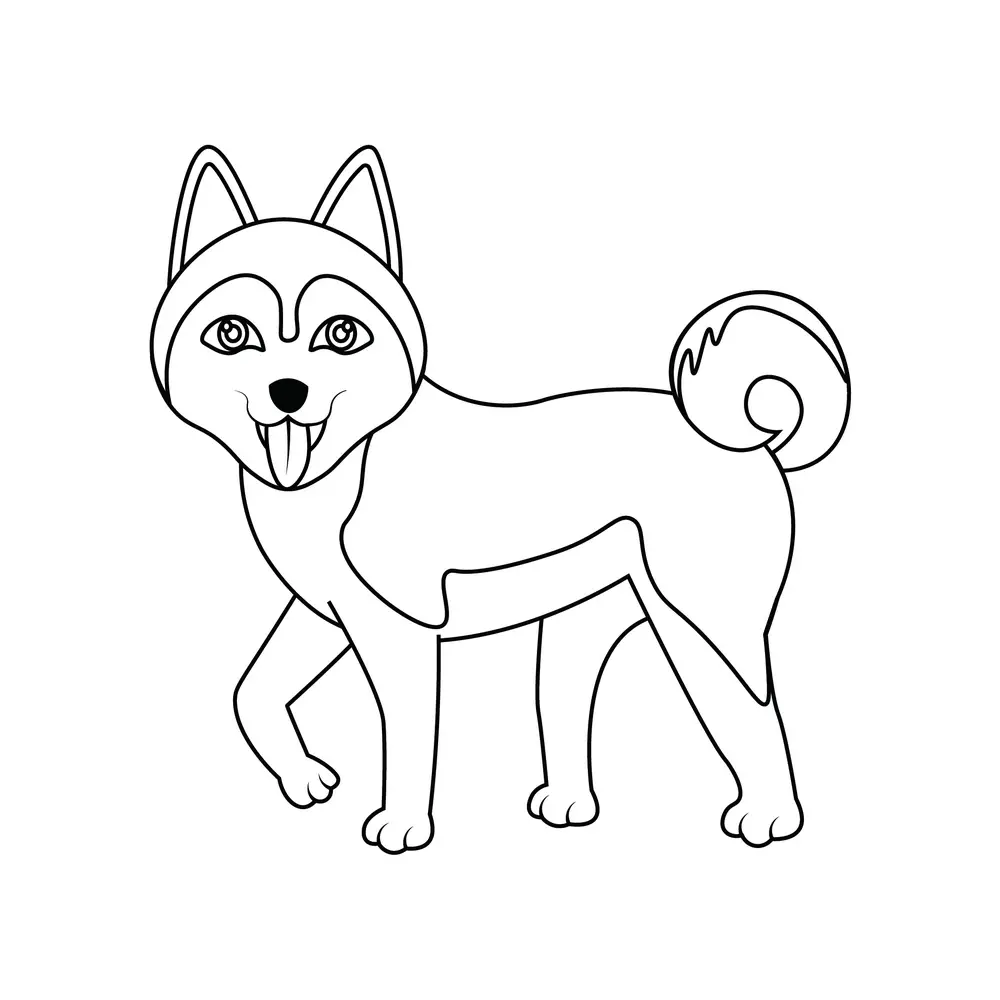 How to Draw A Husky Step by Step Step  8