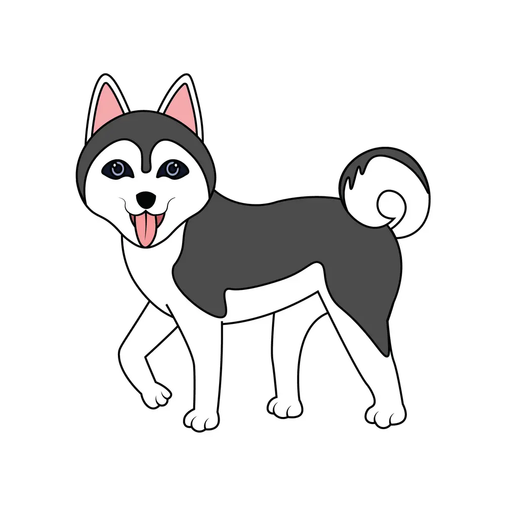 How to Draw A Husky Step by Step Step  9