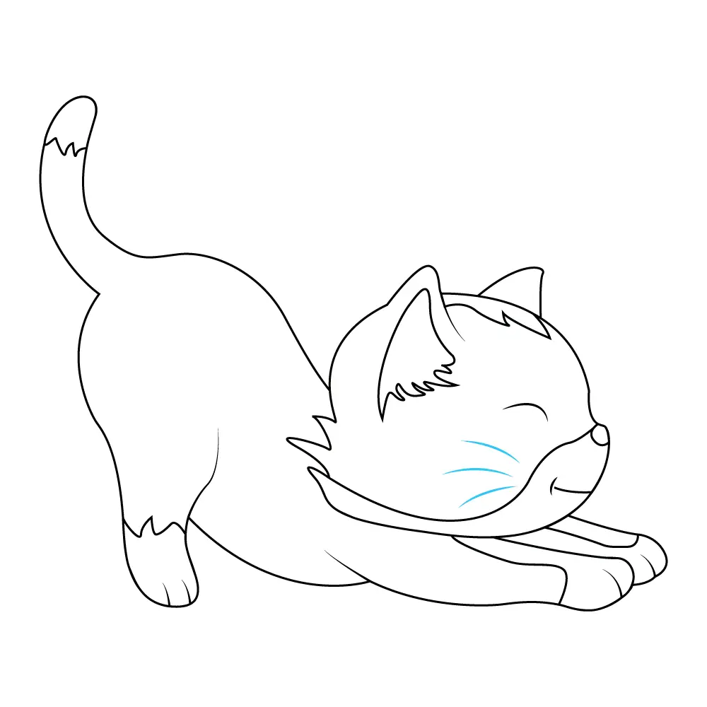 How to Draw A Kitten Step by Step Step  10