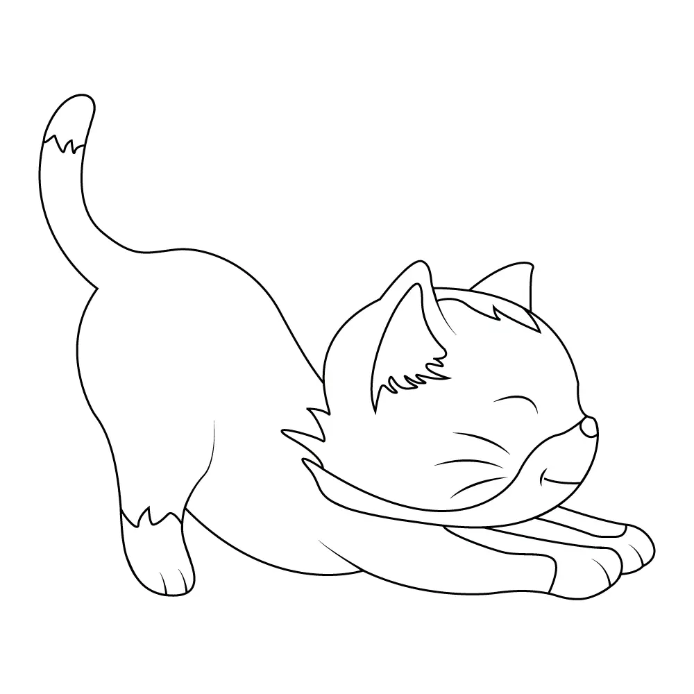 How to Draw A Kitten Step by Step Step  11