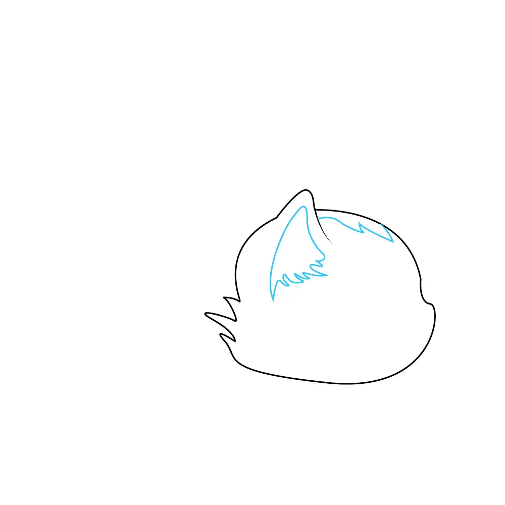 How to Draw A Kitten Step by Step Step  3
