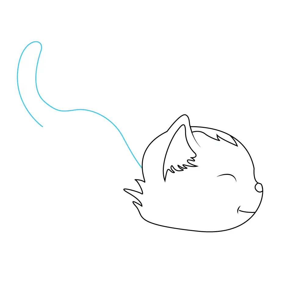 How to Draw A Kitten Step by Step Step  5