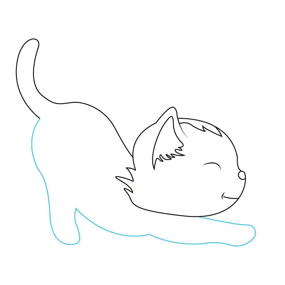 How to Draw A Kitten Step by Step Step  6