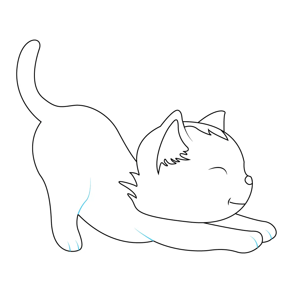 How to Draw A Kitten Step by Step Step  8