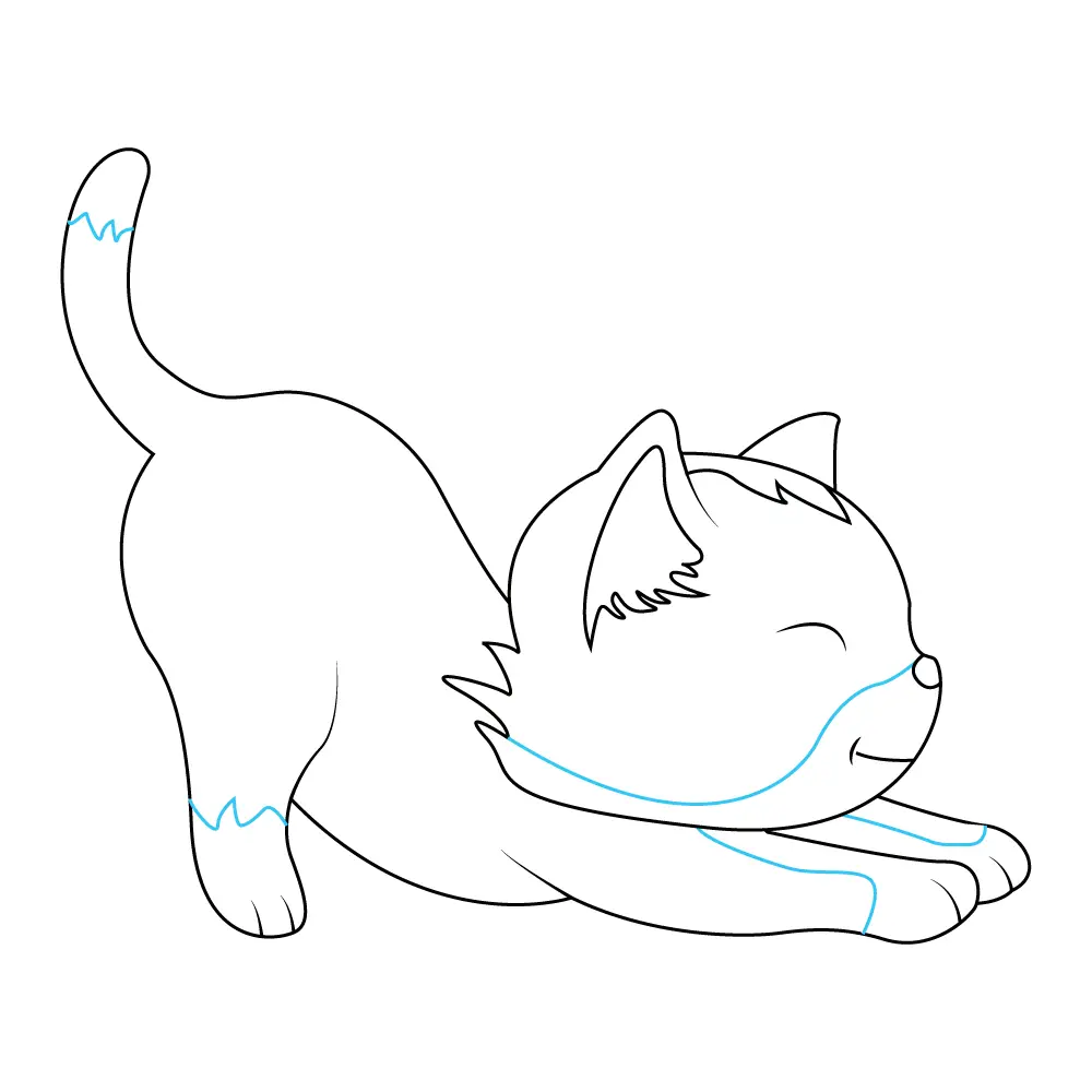 How to Draw A Kitten Step by Step Step  9