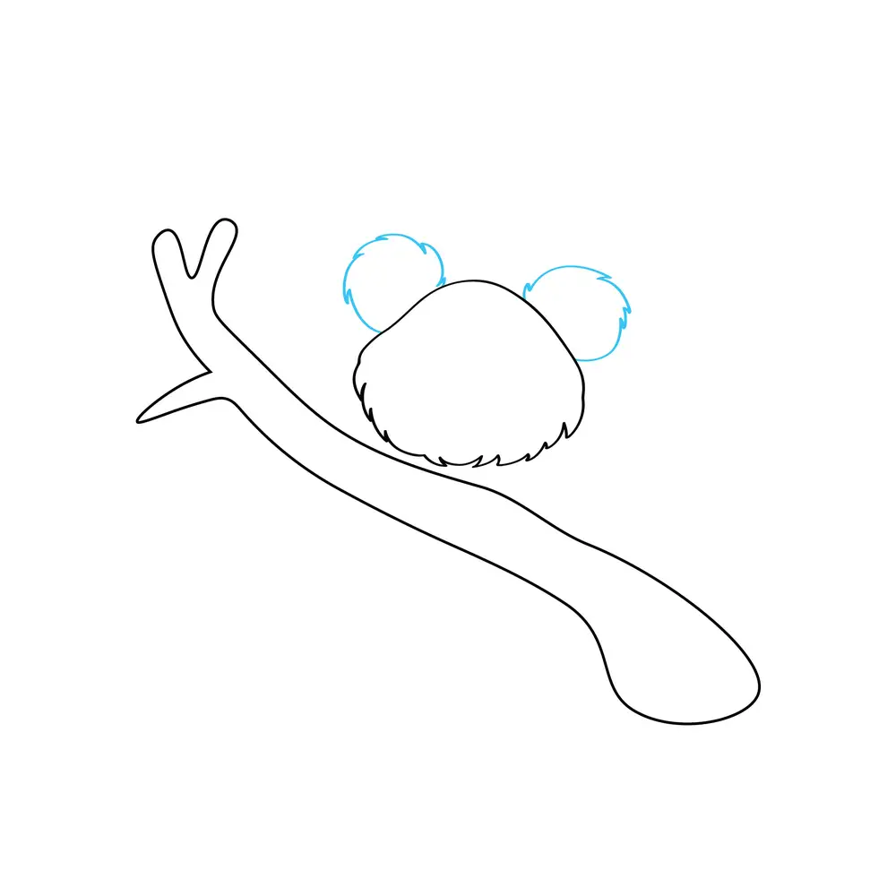 How to Draw A Koala Step by Step Step  3