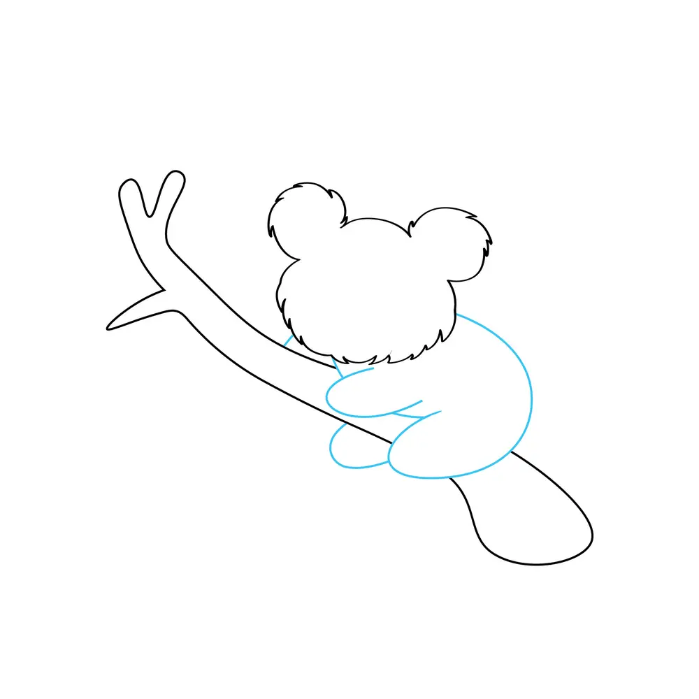 How to Draw A Koala Step by Step Step  4