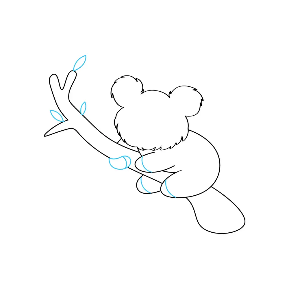 How to Draw A Koala Step by Step Step  5