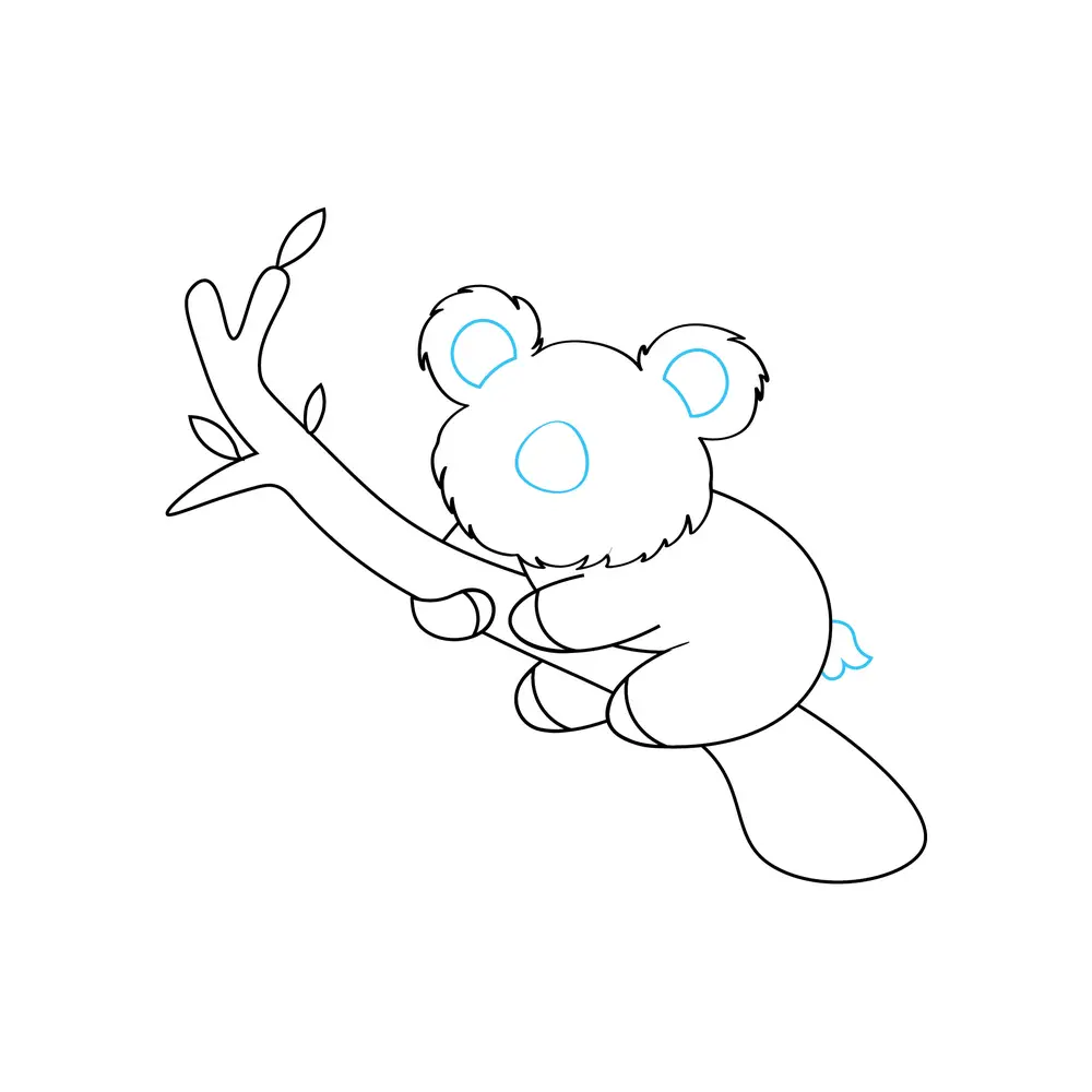 How to Draw A Koala Step by Step Step  6