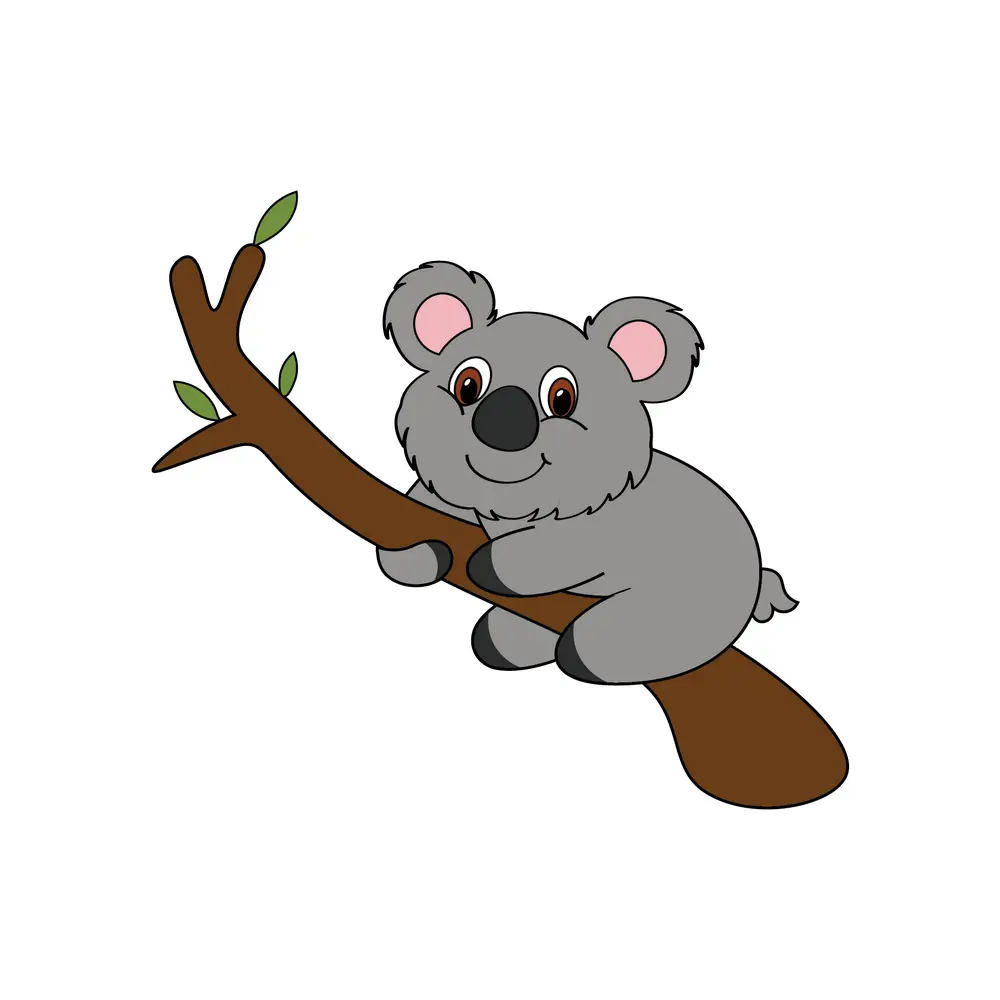 How to Draw A Koala Step by Step Step  9