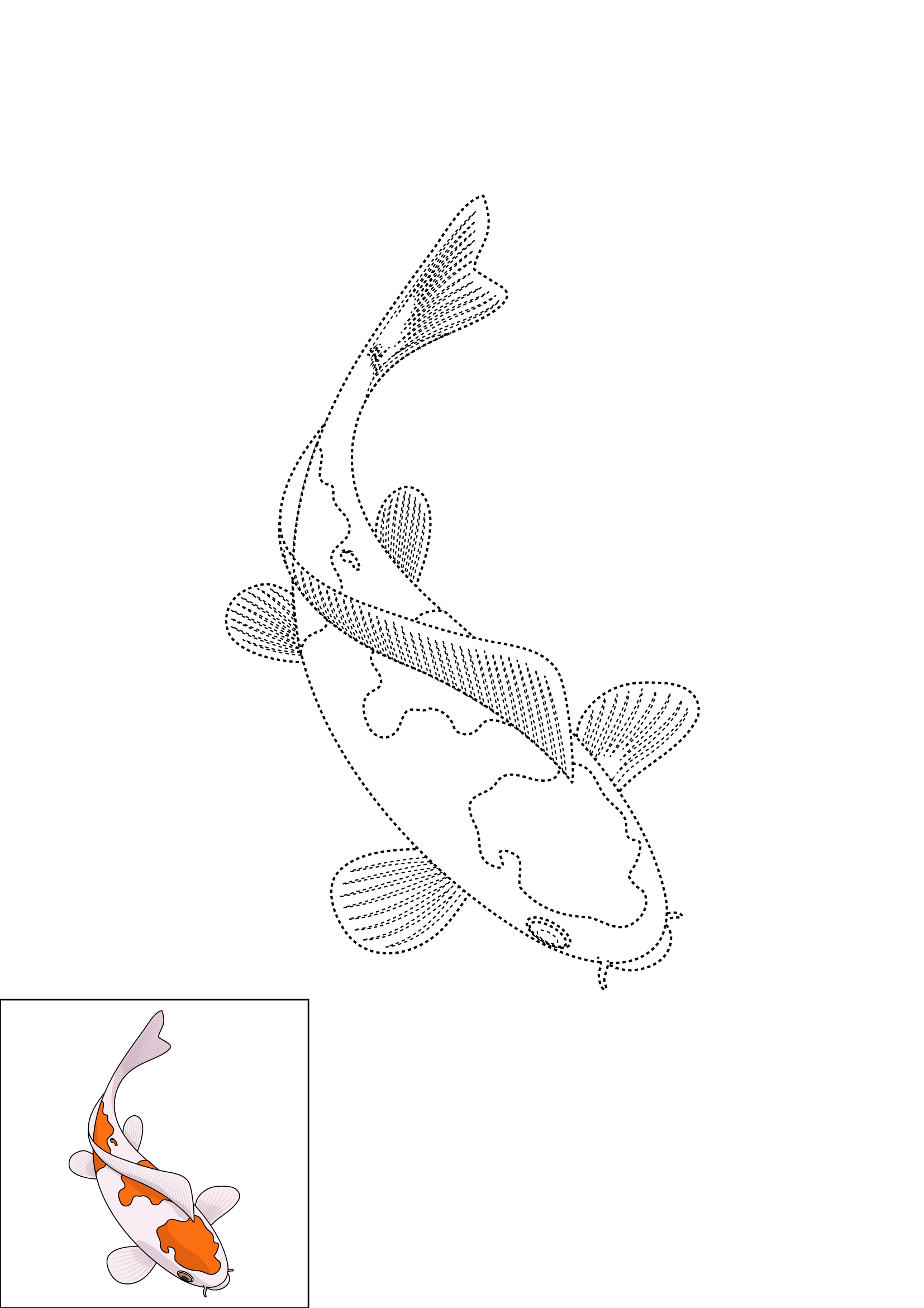 How to Draw A Koi Fish Step by Step Printable Dotted