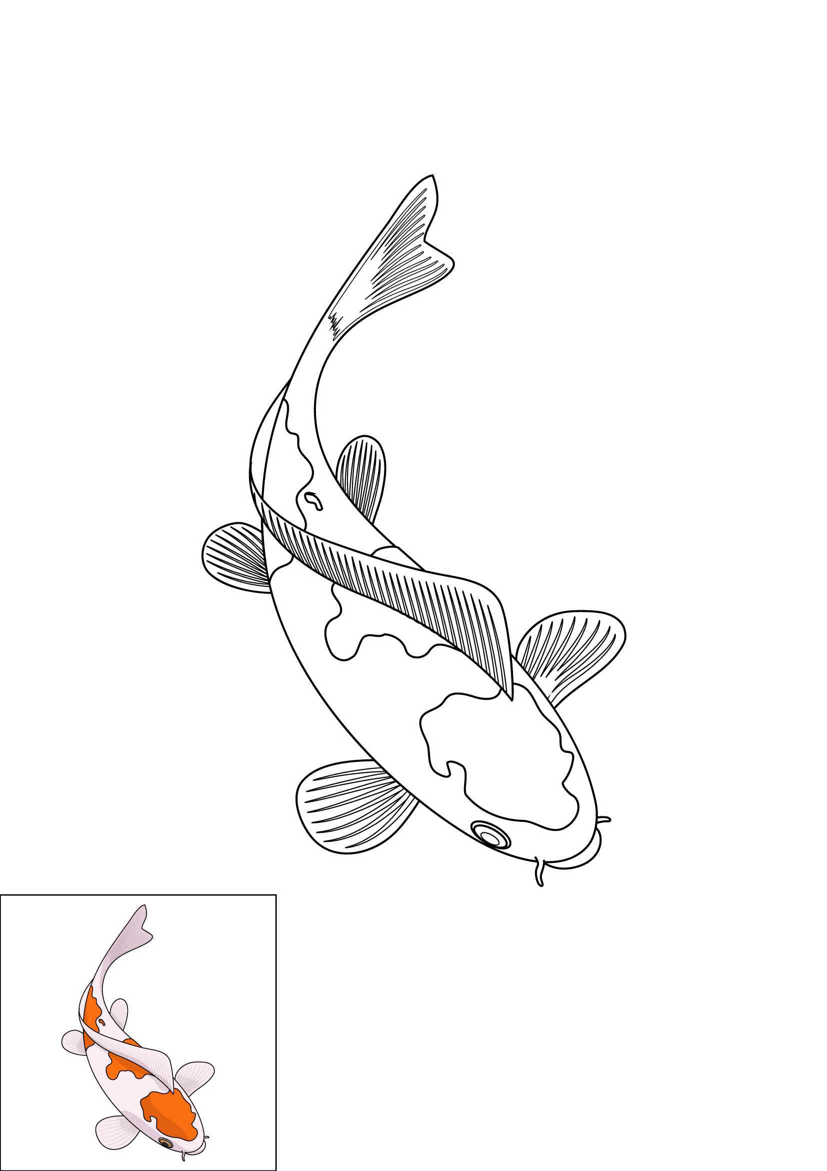 How to Draw A Koi Fish Step by Step Printable Color