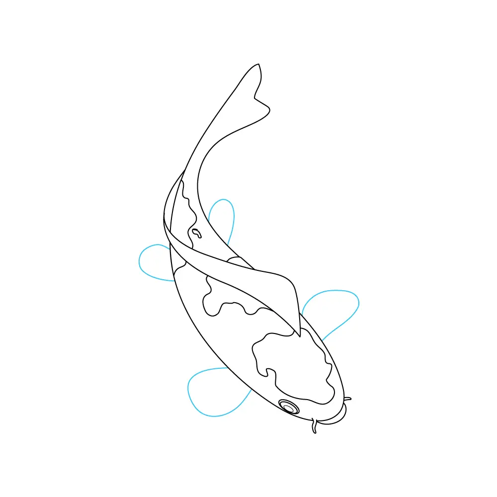 How to Draw A Koi Fish Step by Step Step  6