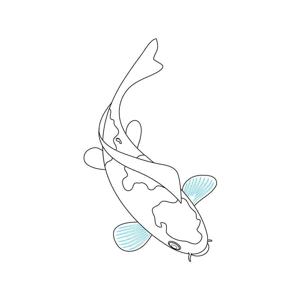 How to Draw A Koi Fish Step by Step Step  7