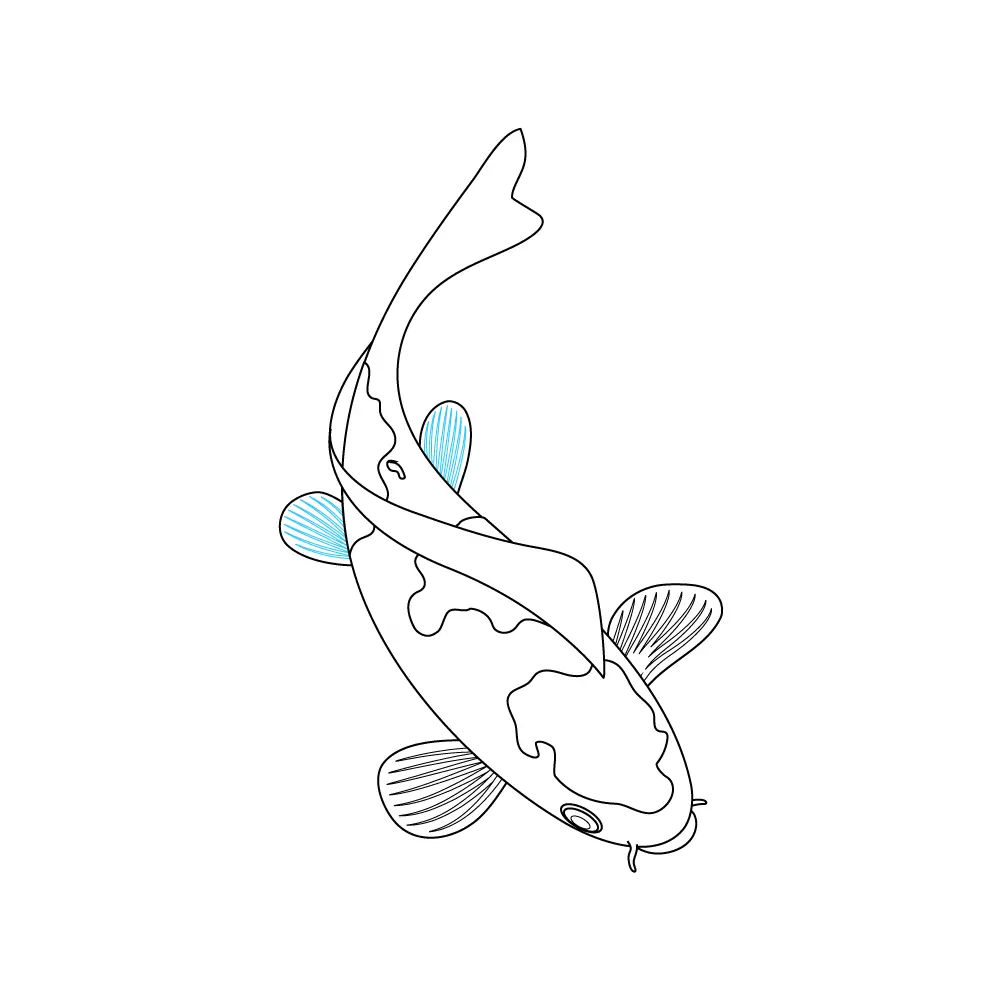 How to Draw A Koi Fish Step by Step Step  8