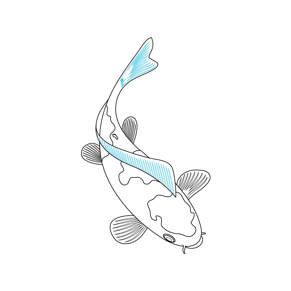 How to Draw A Koi Fish Step by Step Step  9