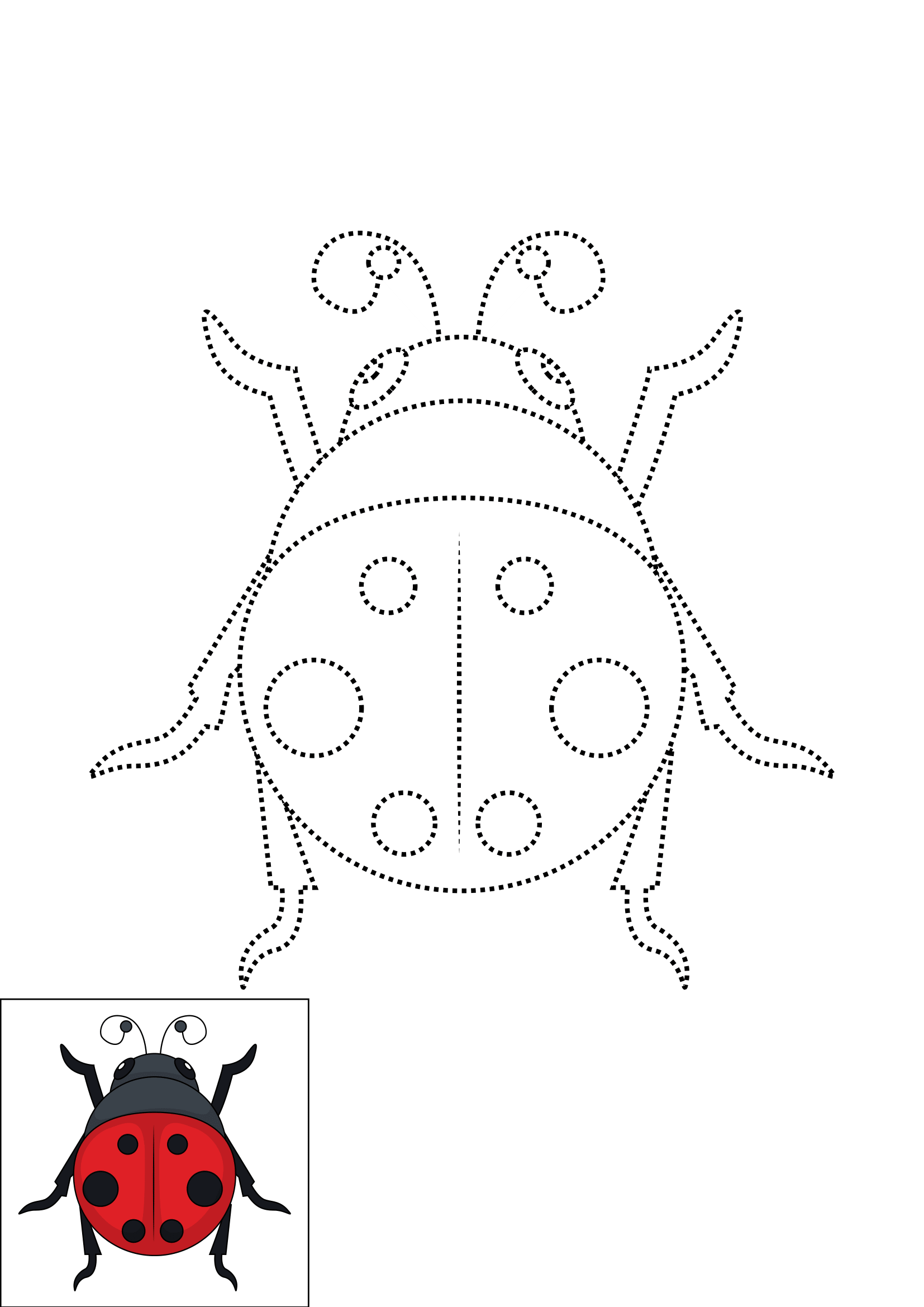 How to Draw A Ladybug Step by Step Printable Dotted