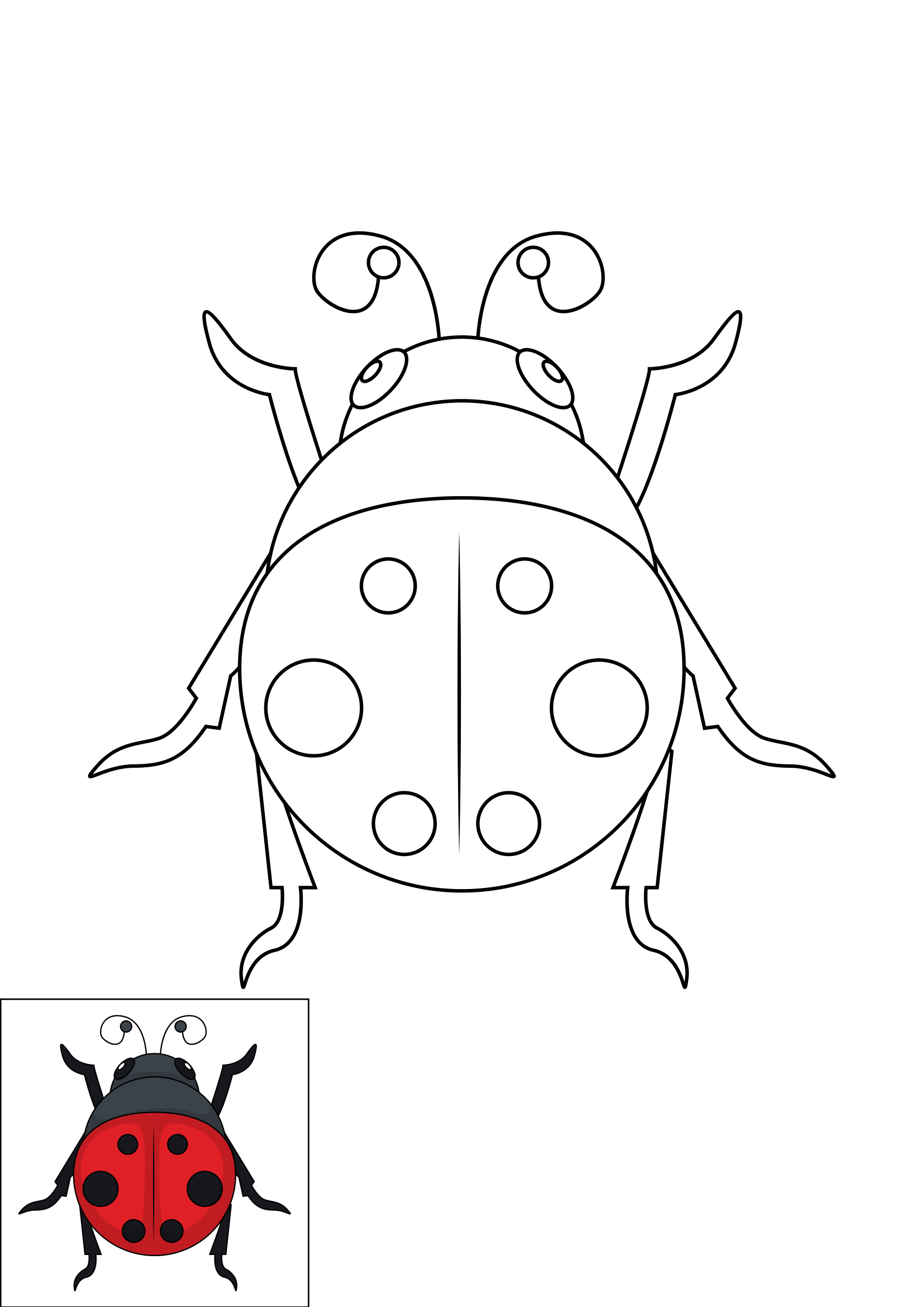 How to Draw A Ladybug Step by Step Printable Color