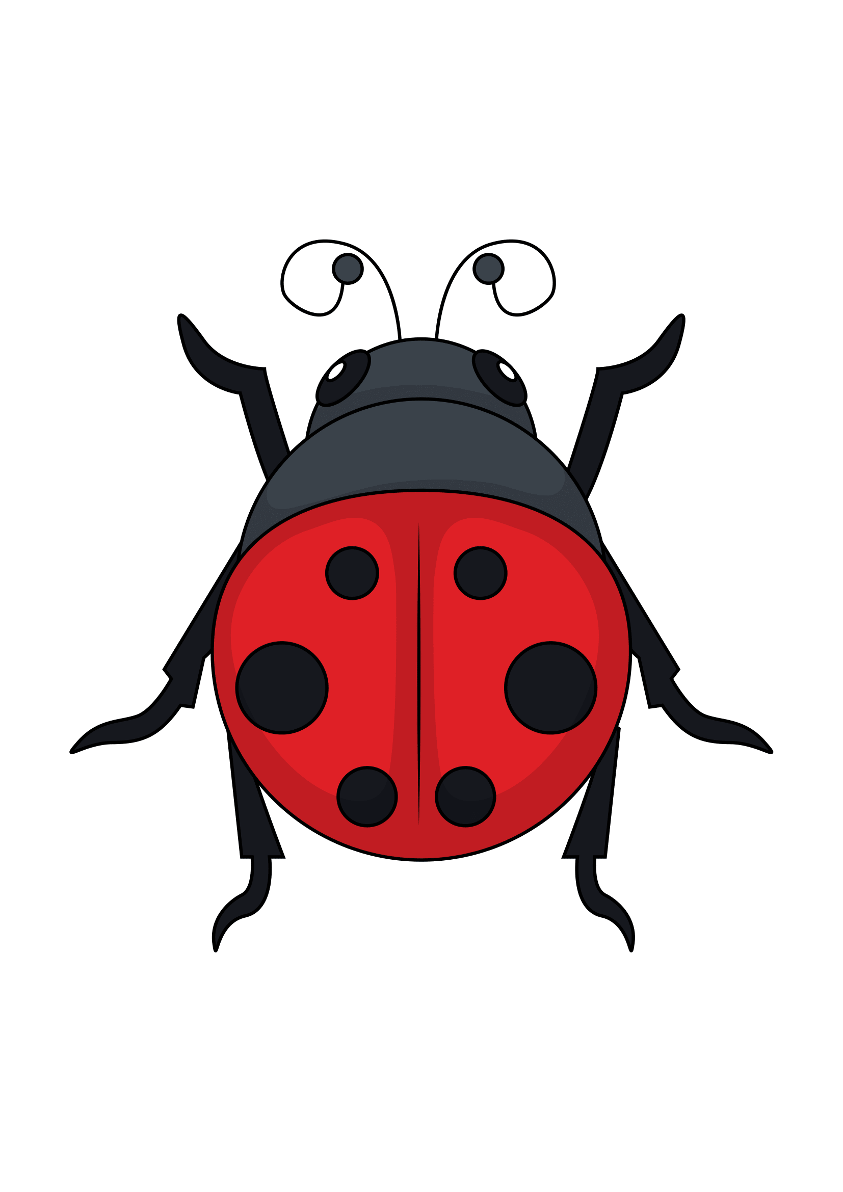 How to Draw A Ladybug Step by Step Printable