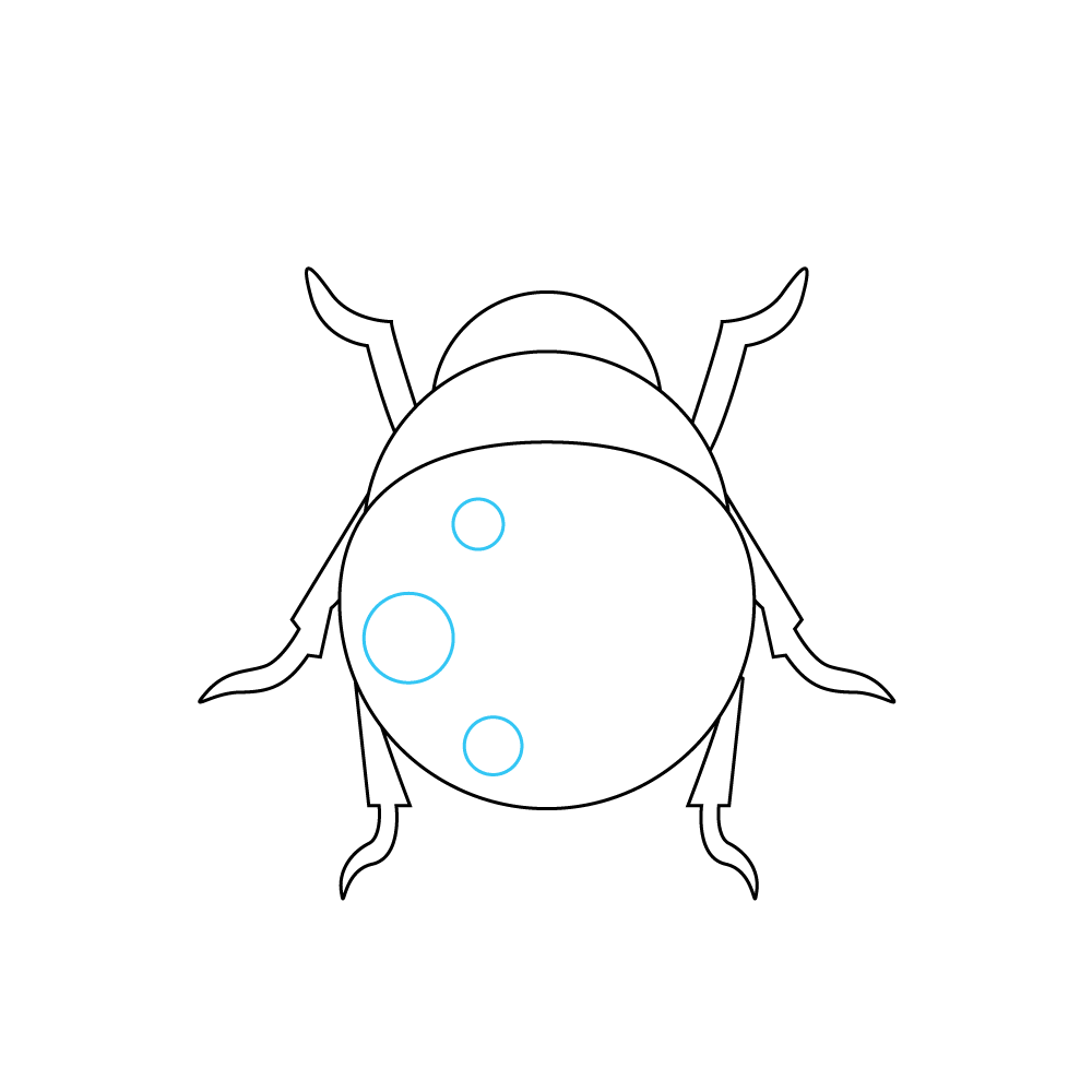 How to Draw A Ladybug Step by Step Step  6