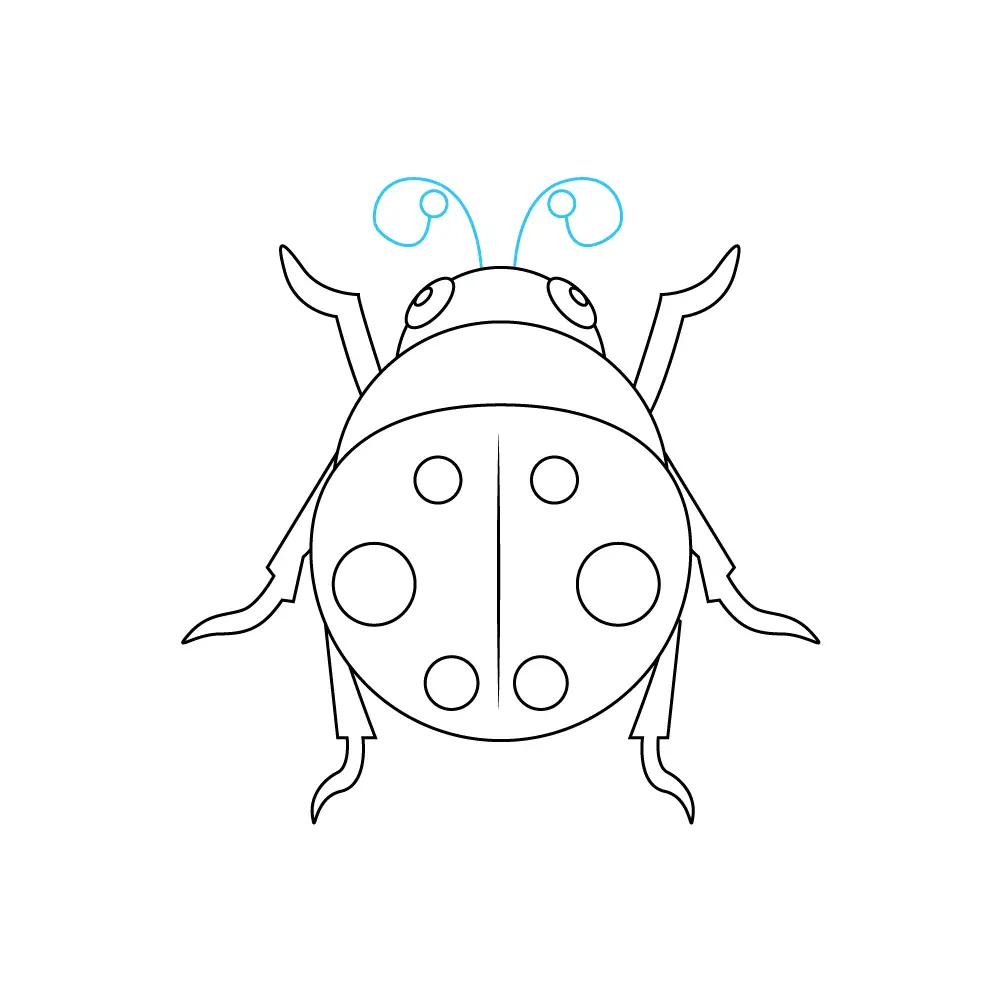 How to Draw A Ladybug Step by Step Step  9