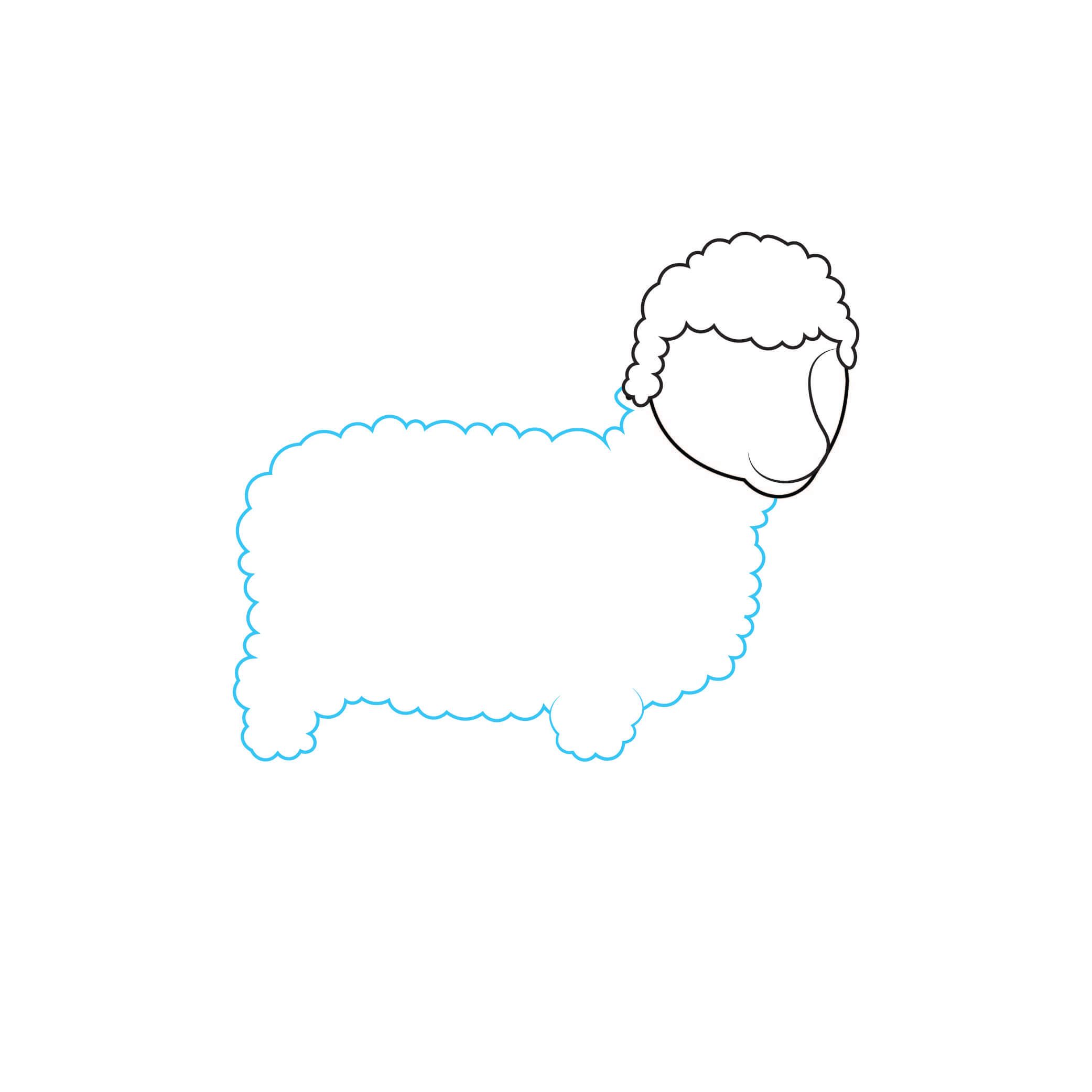How to Draw A Lamb Step by Step Step  3