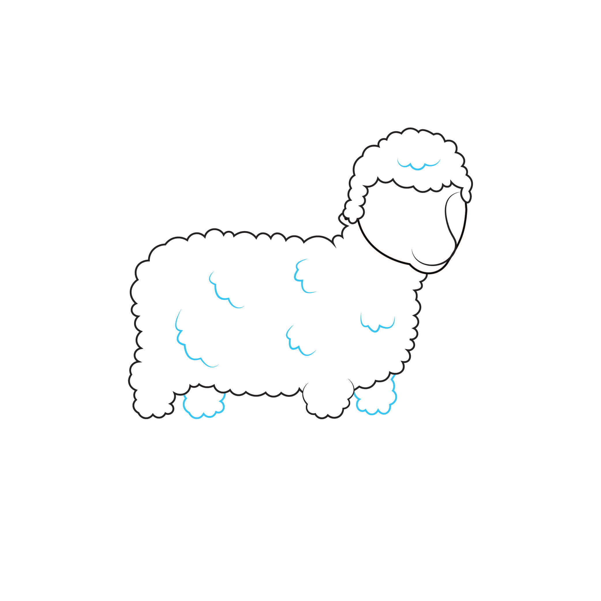 How to Draw A Lamb Step by Step Step  4