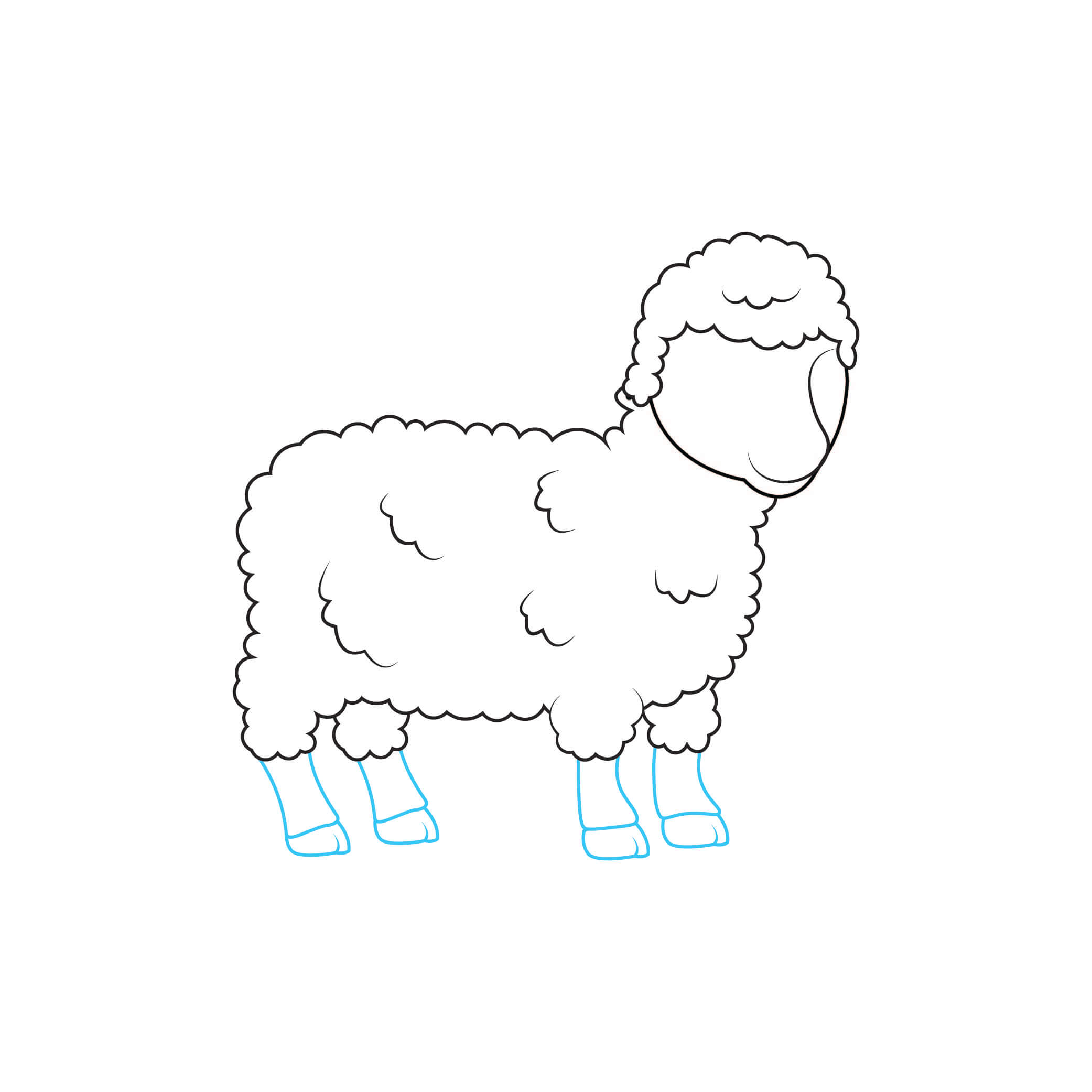 How to Draw A Lamb Step by Step Step  5