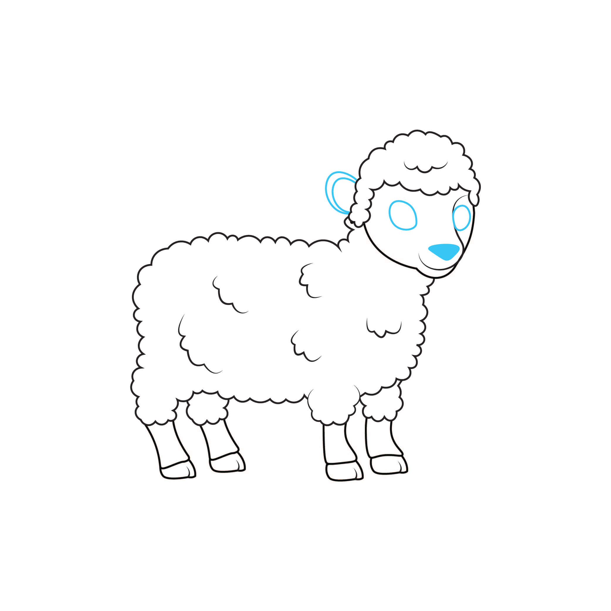 How to Draw A Lamb Step by Step Step  6