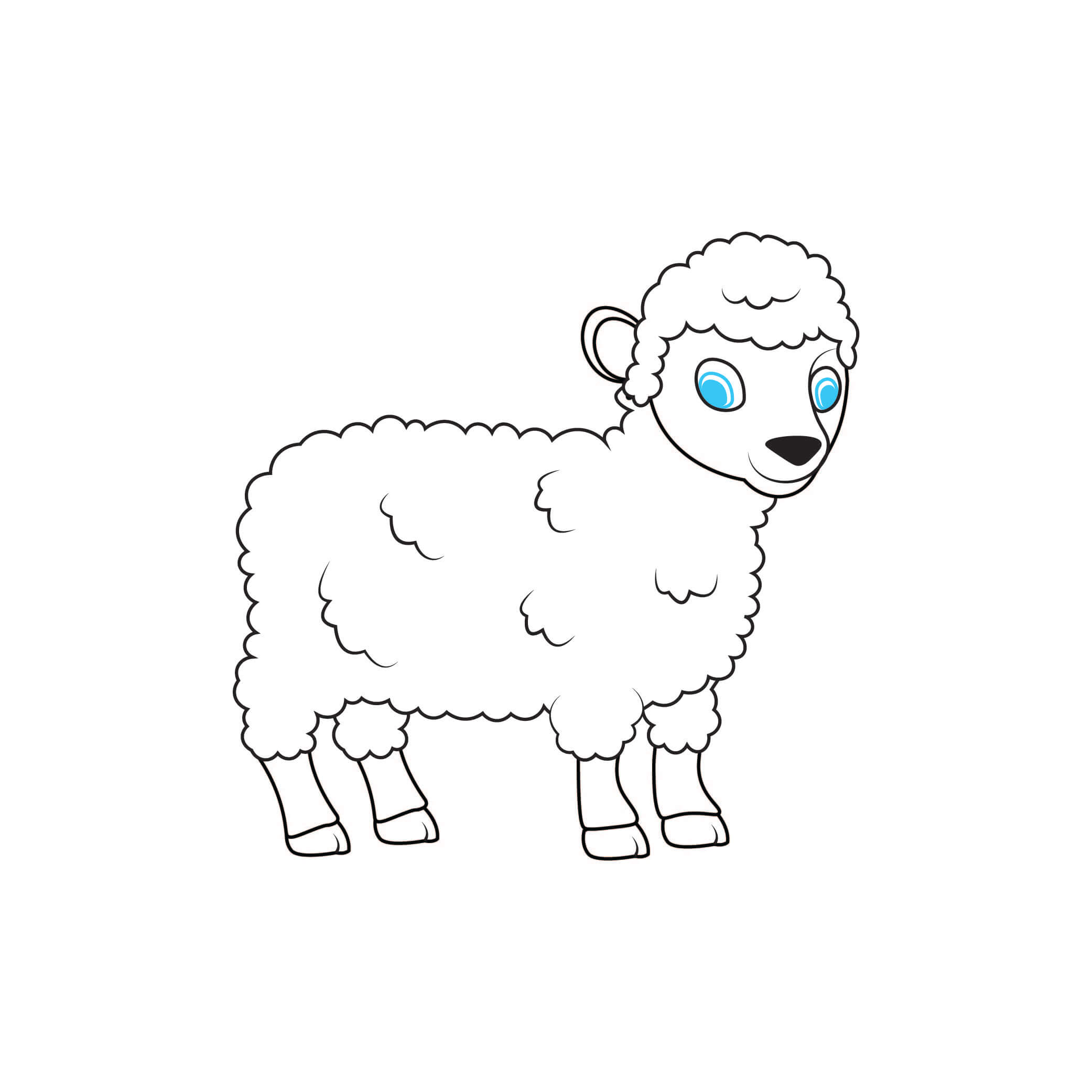 How to Draw A Lamb Step by Step Step  7