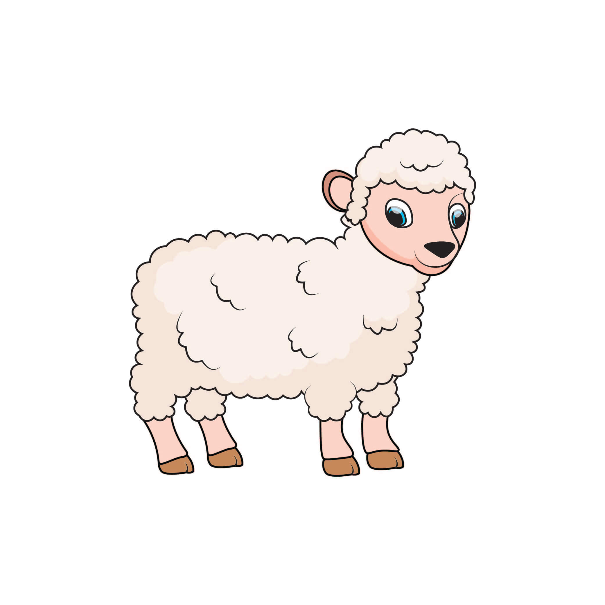 How to Draw A Lamb Step by Step Step  9