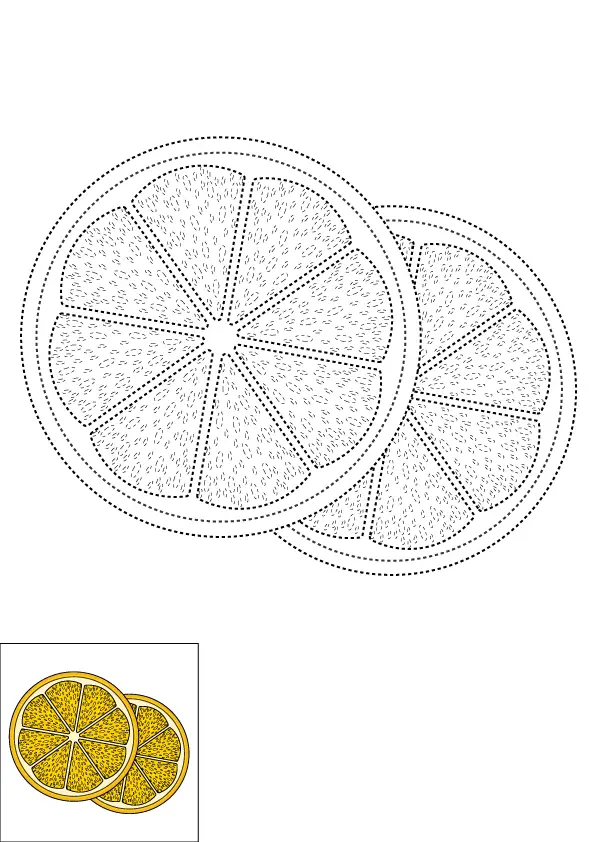 How to Draw A Lemon Slice Step by Step Printable Dotted