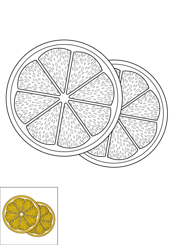 How to Draw A Lemon Slice Step by Step Printable Color