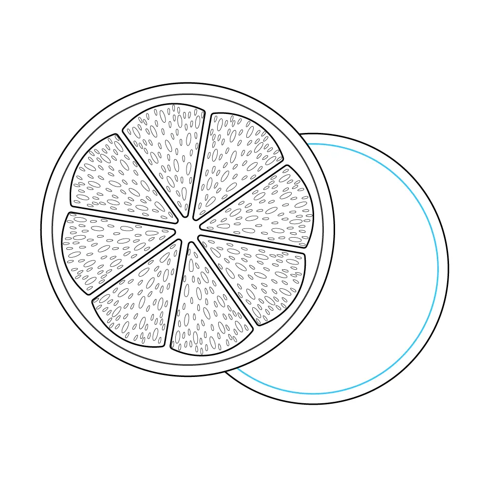 How to Draw A Lemon Slice Step by Step Step  8